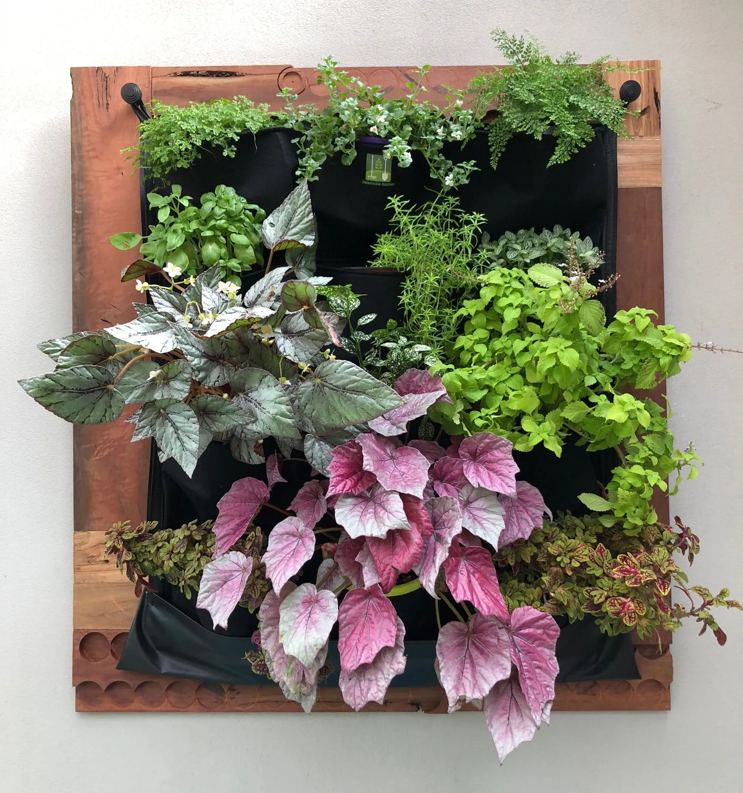 12 Pocket Indoor Waterproof Vertical Living Wall Planter