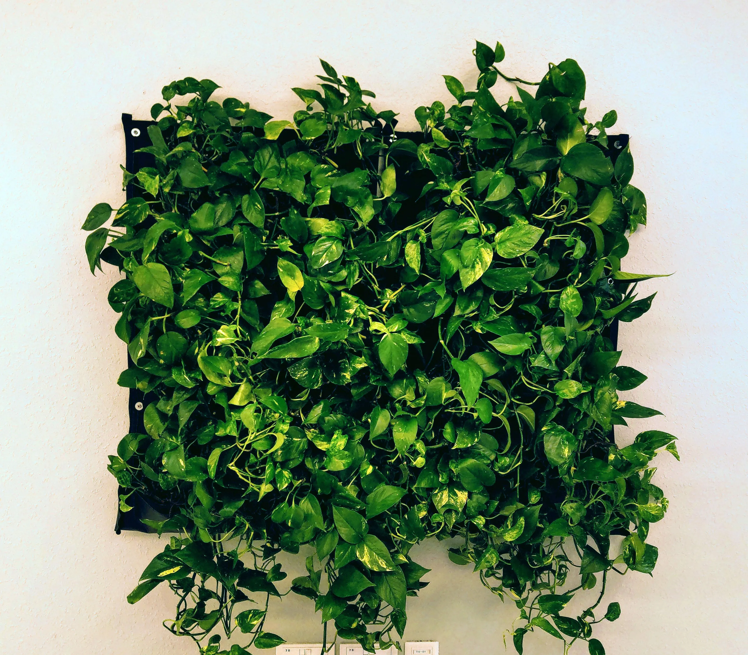 12 Pocket Indoor Waterproof Vertical Living Wall Planter