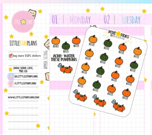Animal Crossing New Horizon (ACNH) Water Pumpkin Reminder