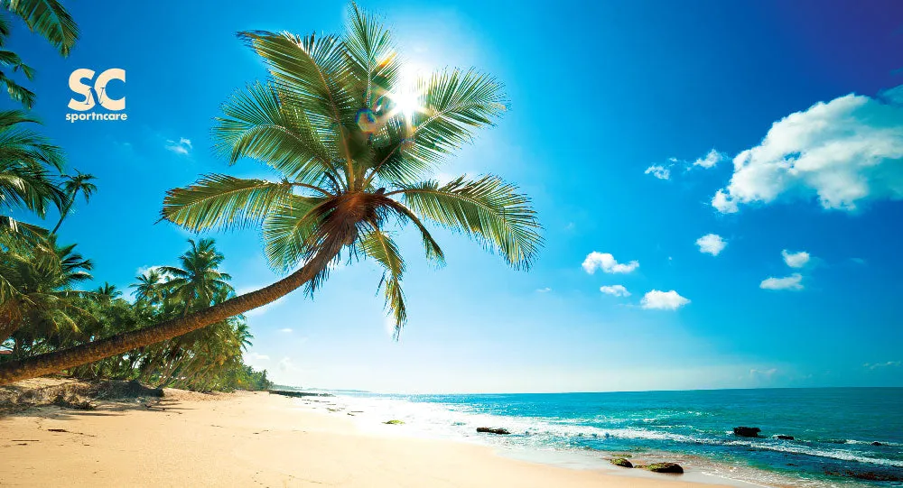 BEACH VIEW TOWEL