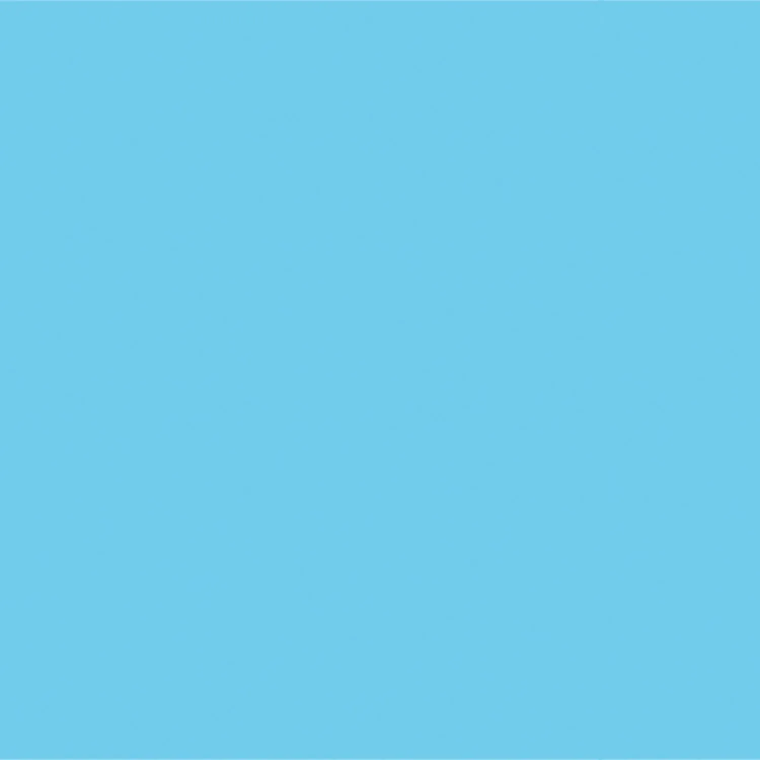 Beistle Sky Backdrop 4' x 30' (1/Pkg) Party Supply Decoration : Princess