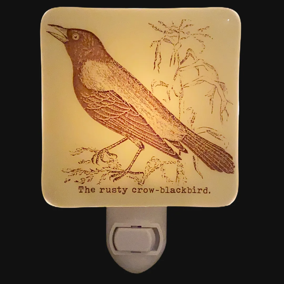 Blackbird Crow Raven Night Light
