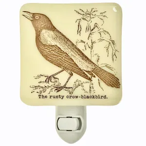 Blackbird Crow Raven Night Light