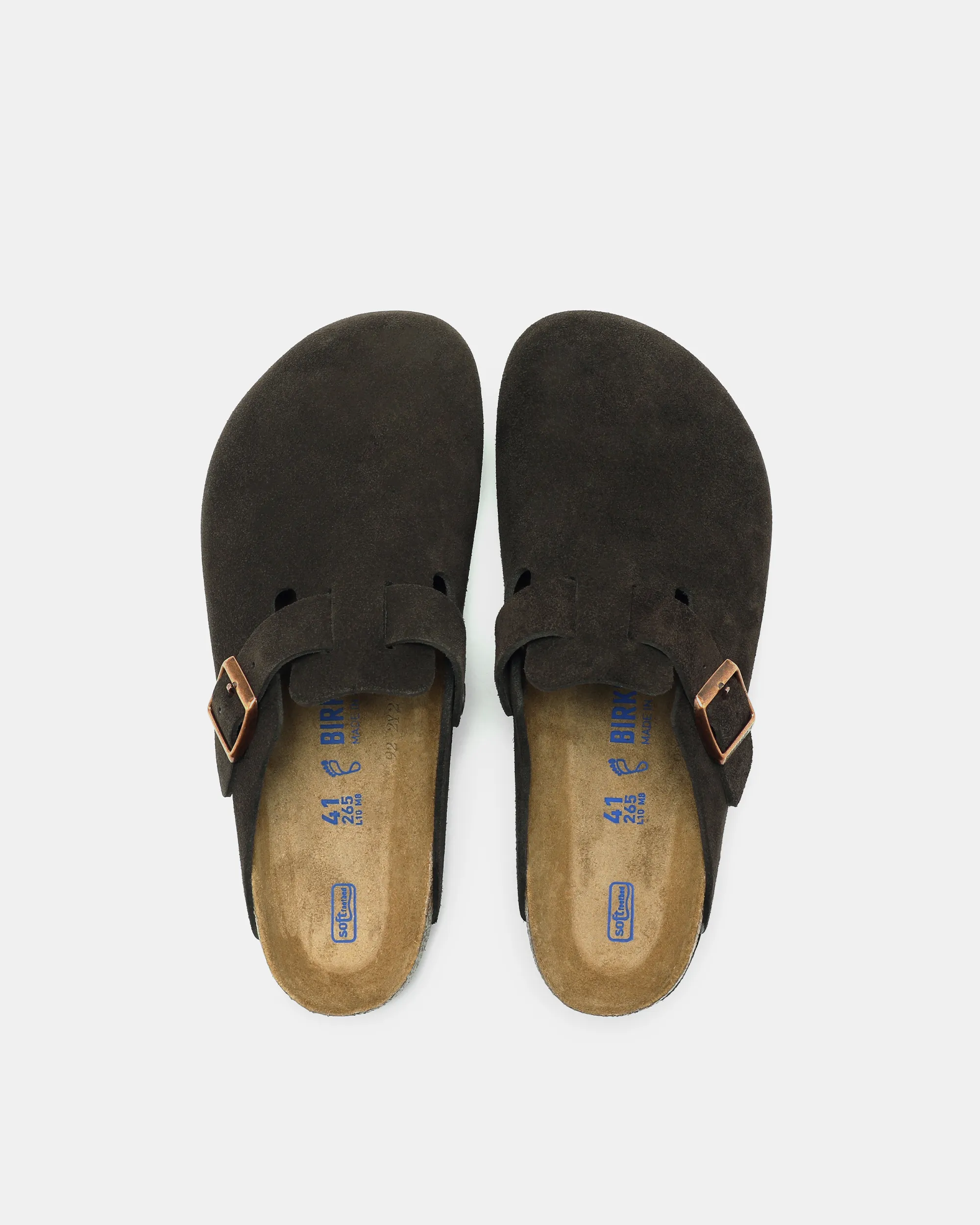 BOSTON VL SFB