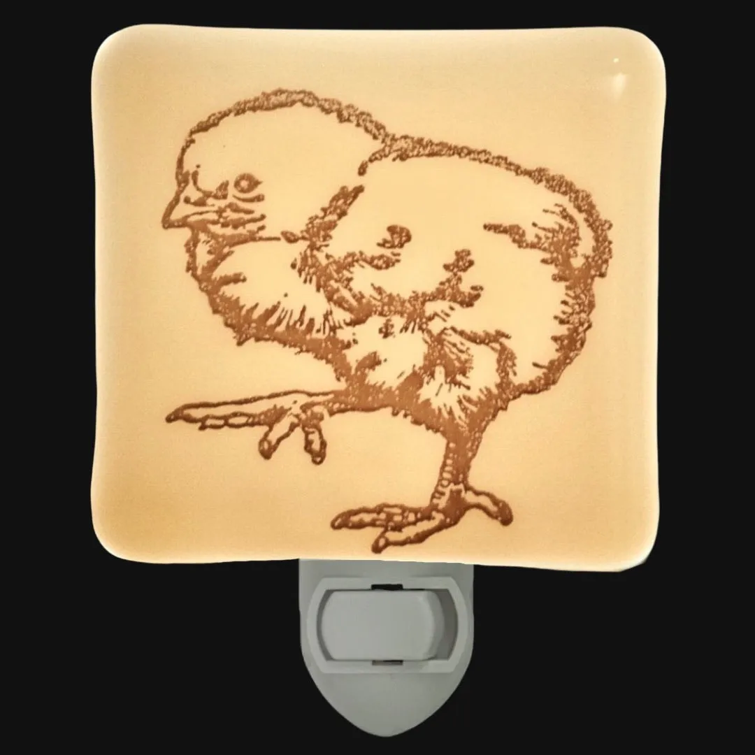 Chick Rustic Farmhouse Night Light