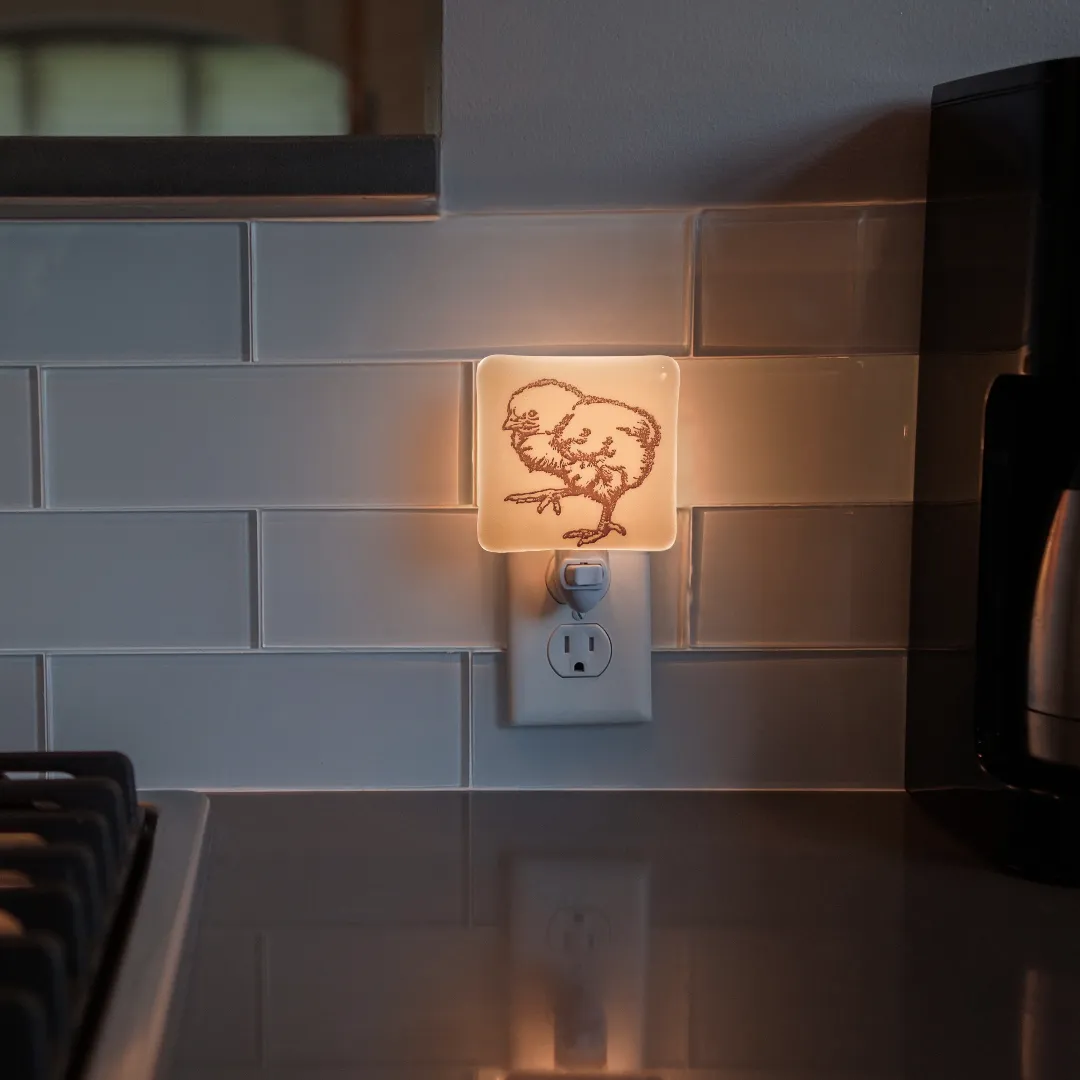 Chick Rustic Farmhouse Night Light