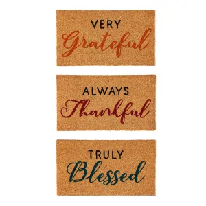 Fall Greetings Coir Mat, 3 Asst,2rm1235