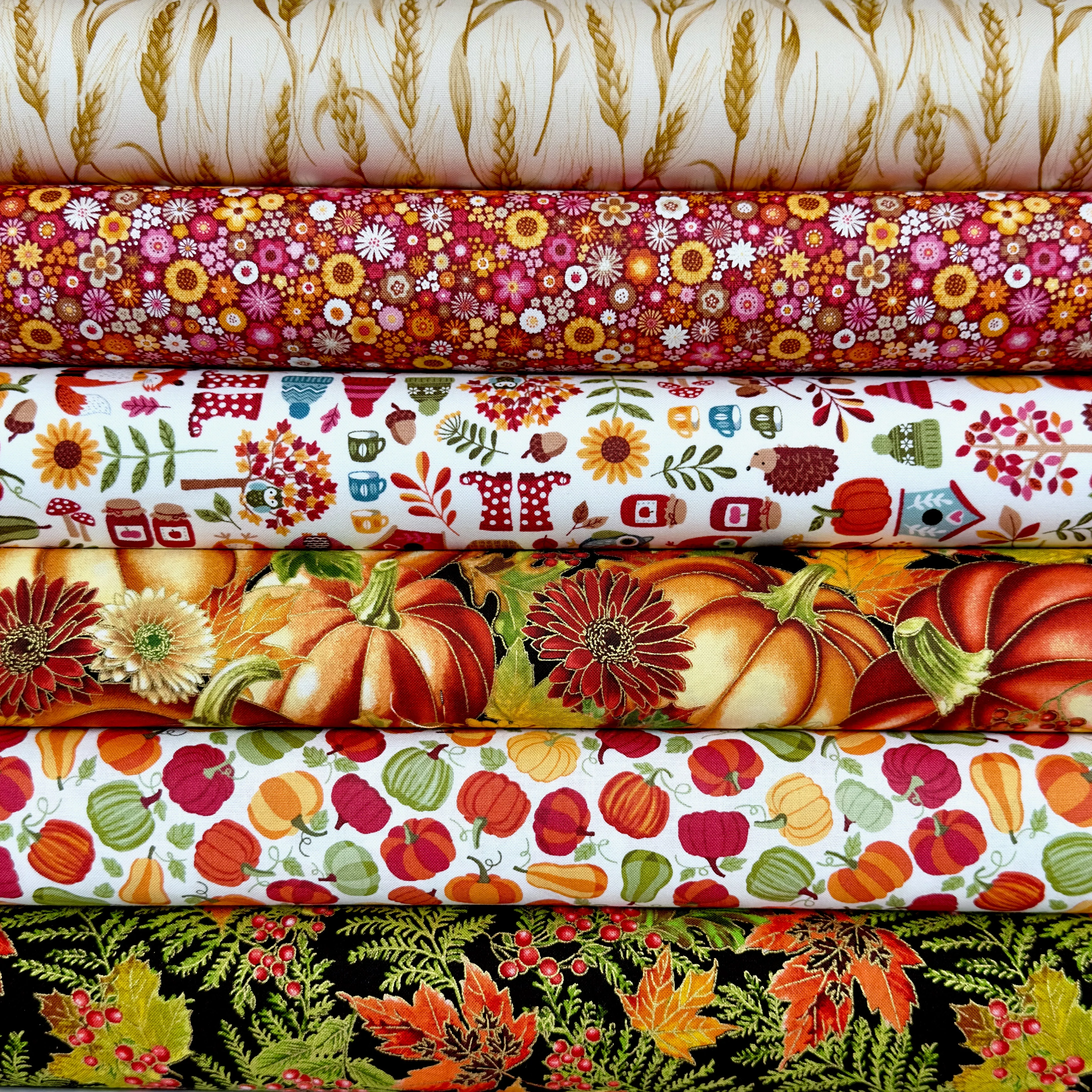Fall / Harvest Seasonal  - NEW COLLECTION