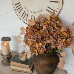 Fall Hydrangea Bush