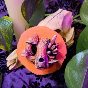 Framed Cat Skull Mini Art (Creamsicle, Orange and White)