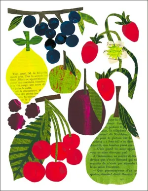 Fruit