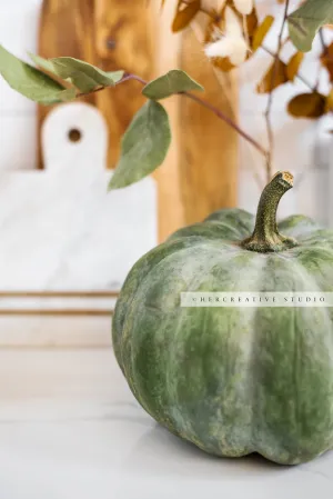 Green Pumpkin in Kitchen. Digital Stock Image.