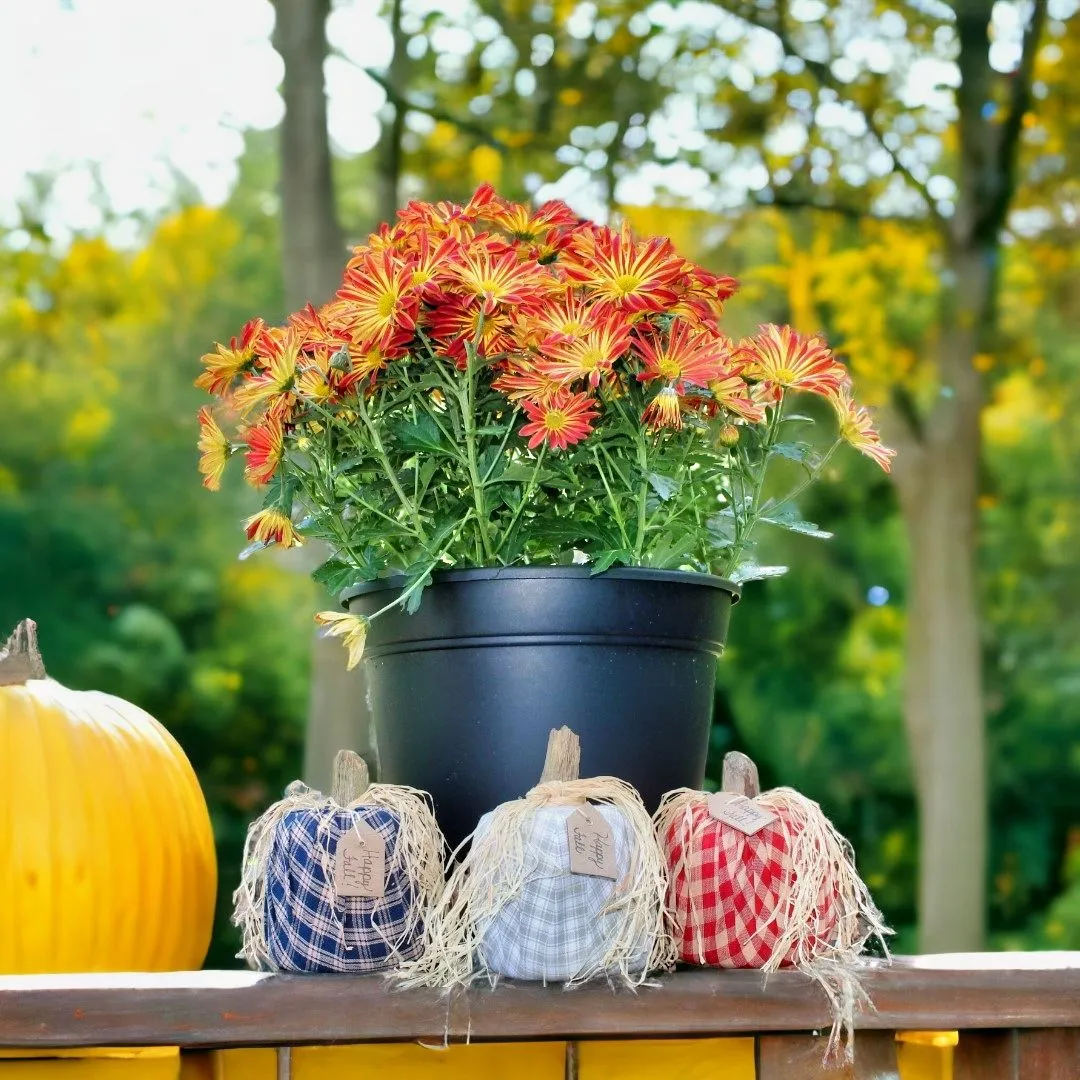 Handcrafted Fabric Pumpkins with Raffia on Top
