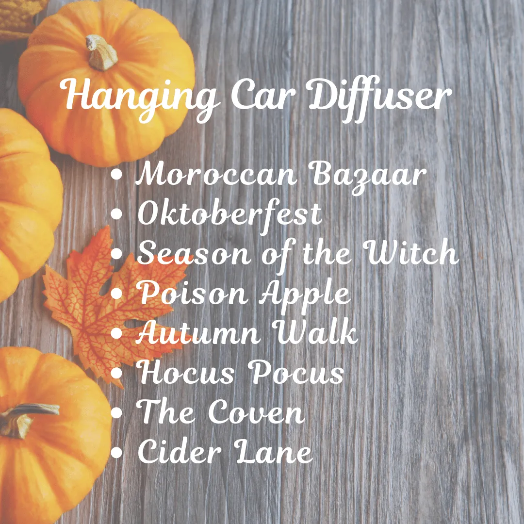 Hanging Car Diffuser Fall 2024 (New)