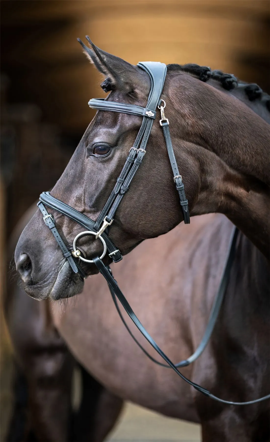 LeMieux Work Bridle