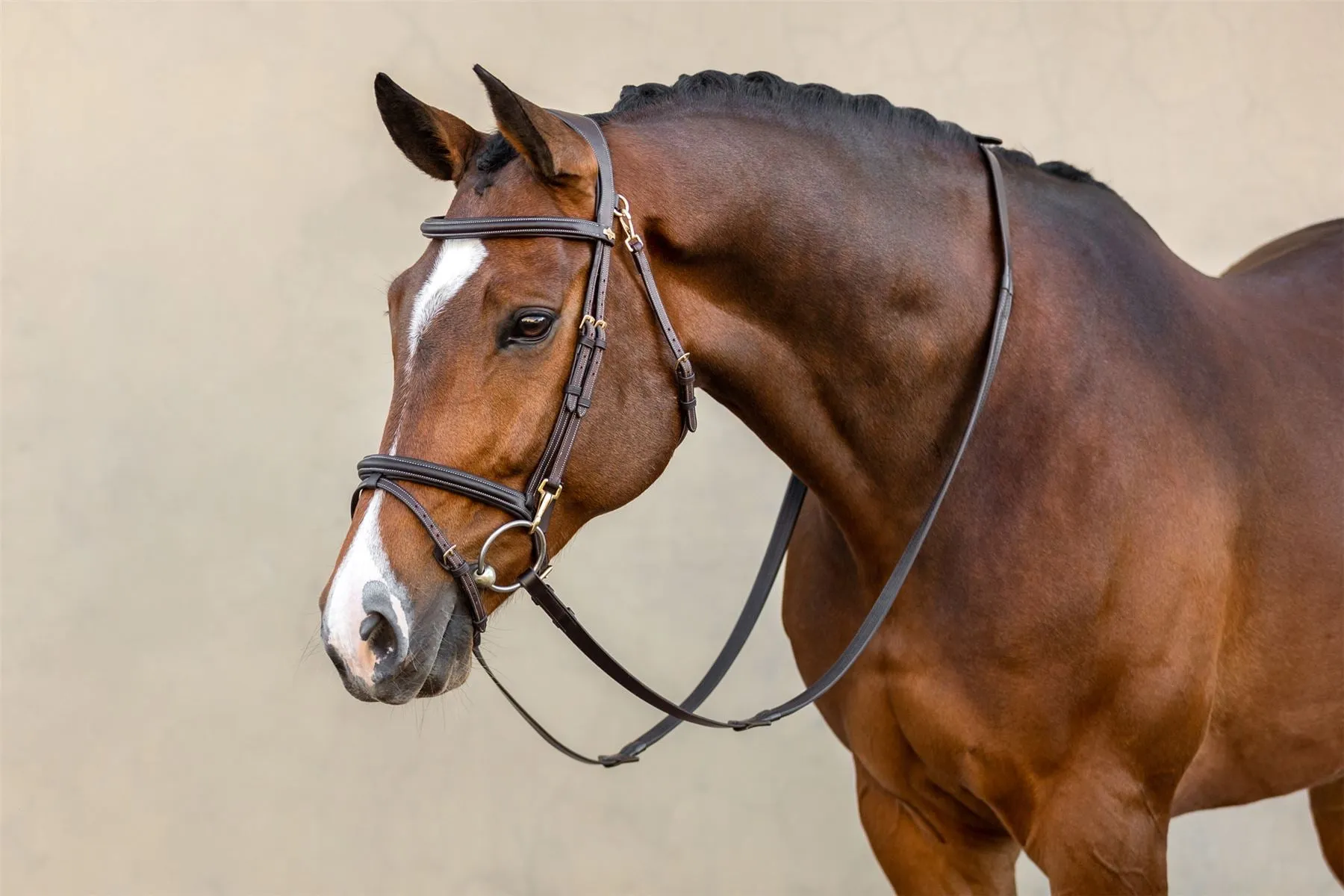 LeMieux Work Bridle