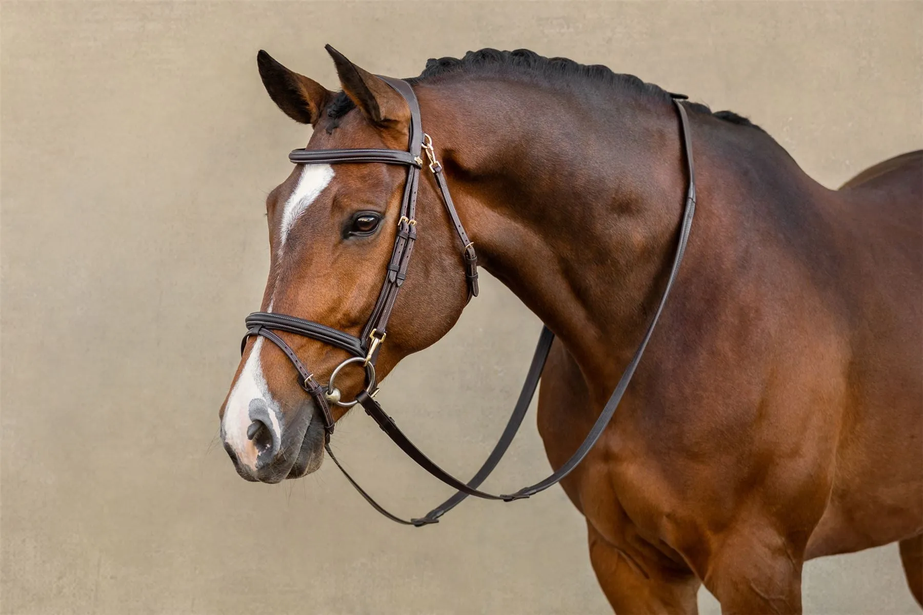 LeMieux Work Bridle
