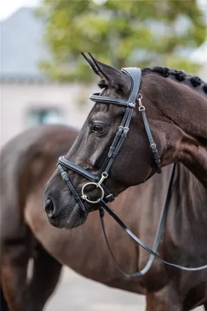 LeMieux Work Bridle