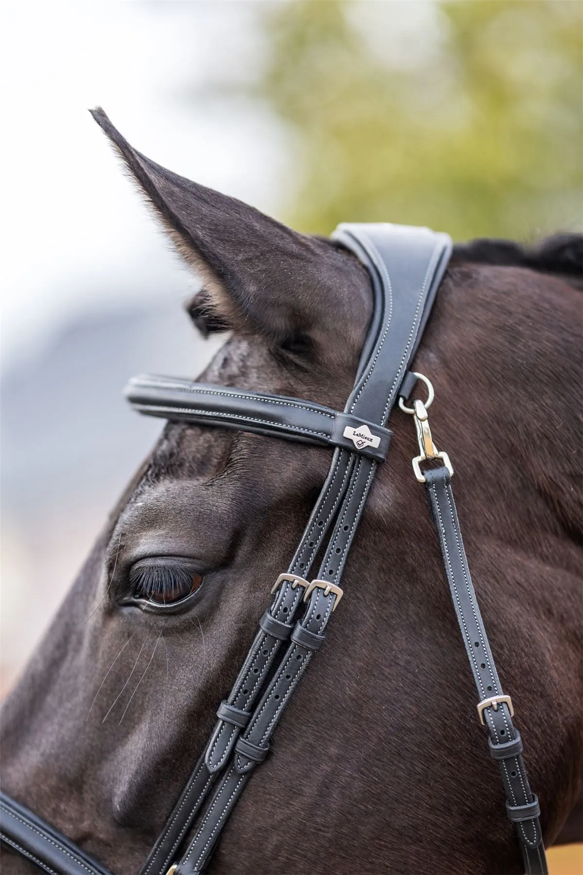 LeMieux Work Bridle