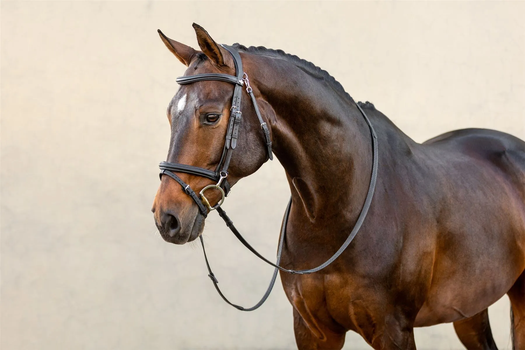 LeMieux Work Bridle