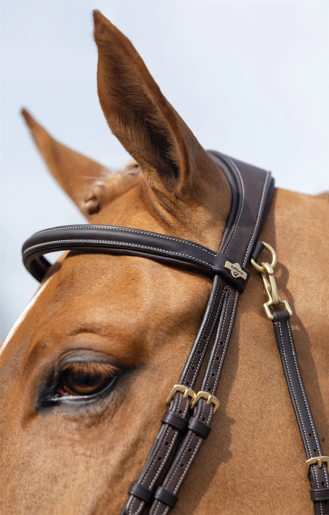 LeMieux Work Bridle