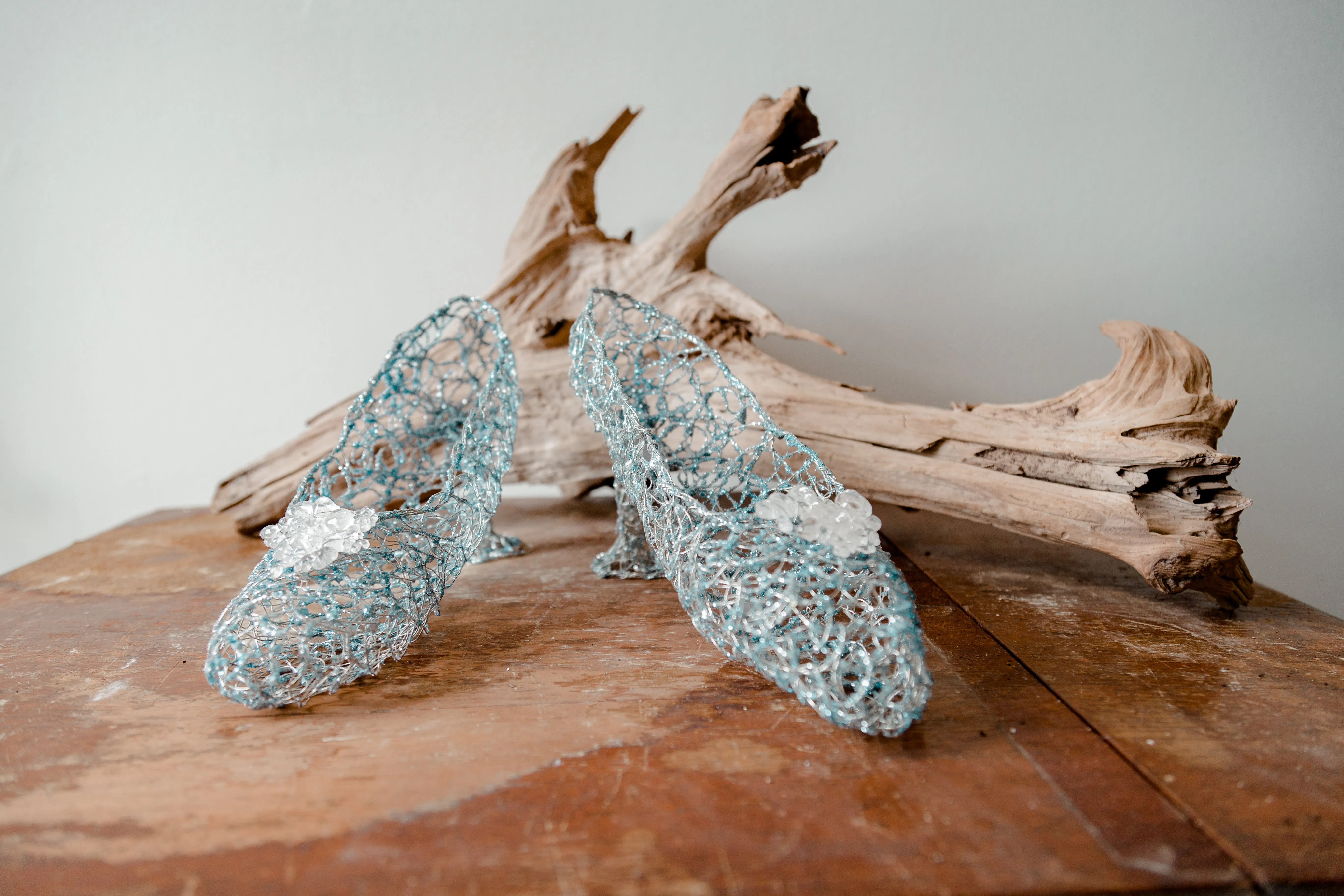 Light Blue Metallic Heels ~ Caeruleum Vitro Cypripedium Parviflorum (Blue Glass Slipper)