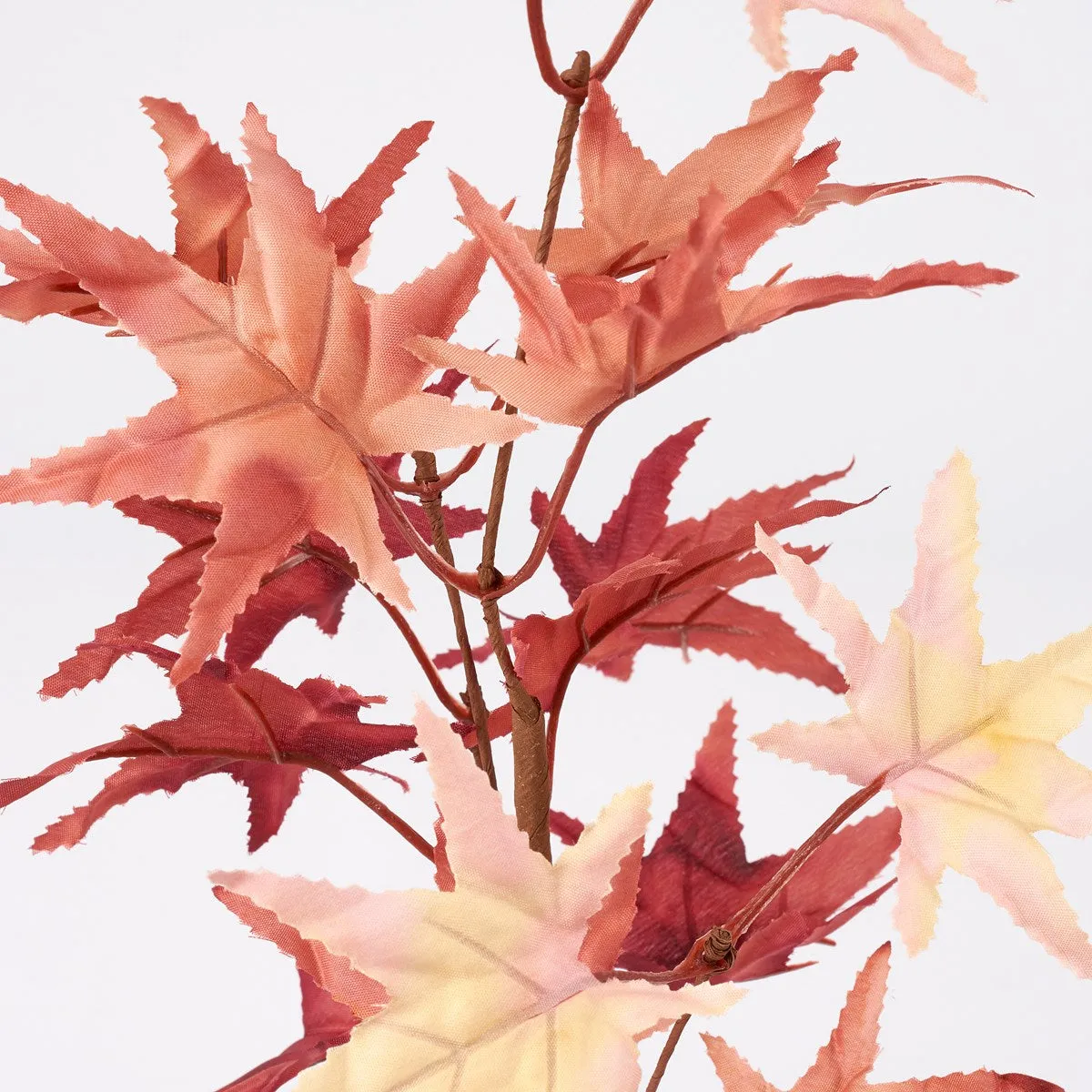 Maple florals