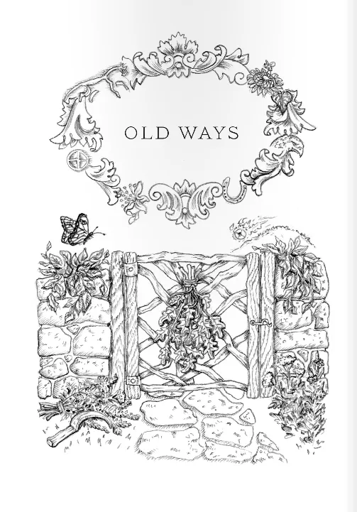 Midsummer-Rituals, Recipes and Lore for Litha By Deborah Blake