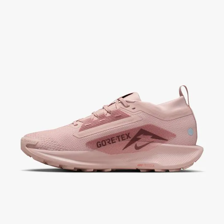 Nike Pegasus Trail 5 GTX Shoes (Women's)