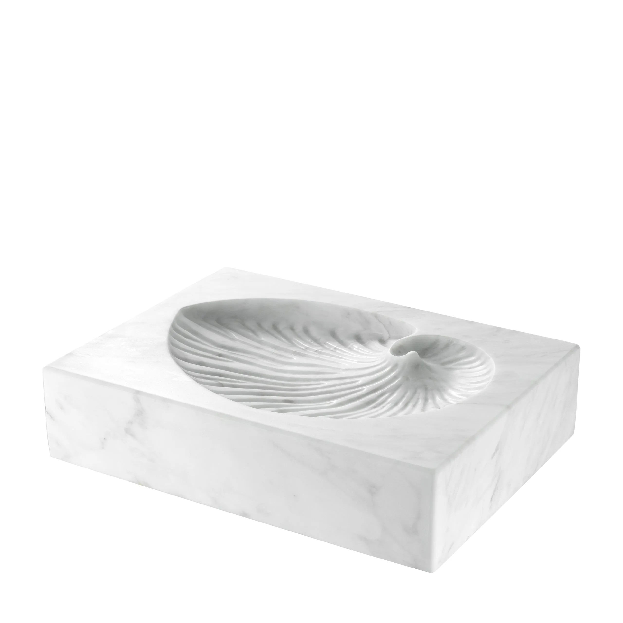 Object Conchiglia