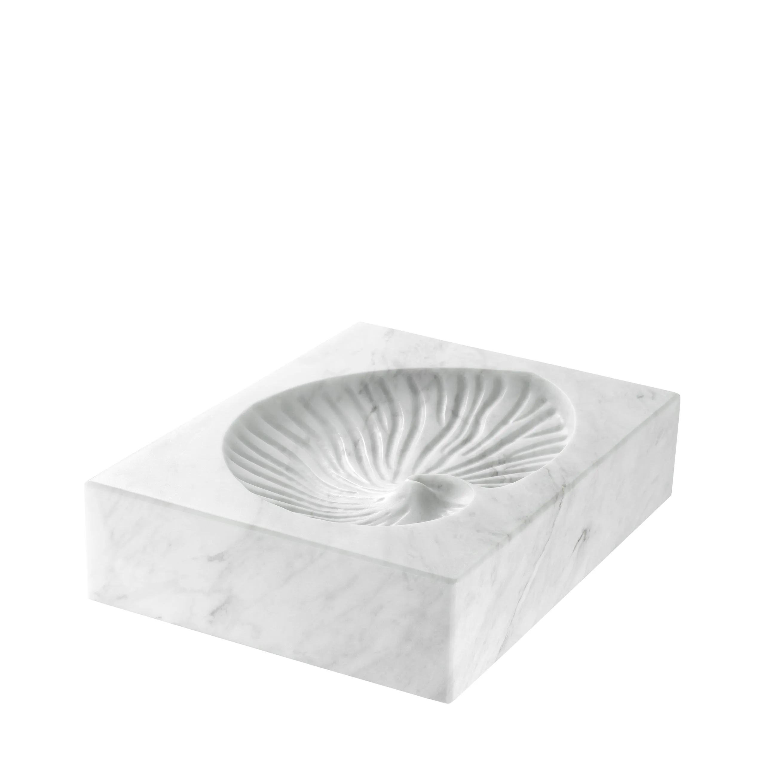 Object Conchiglia