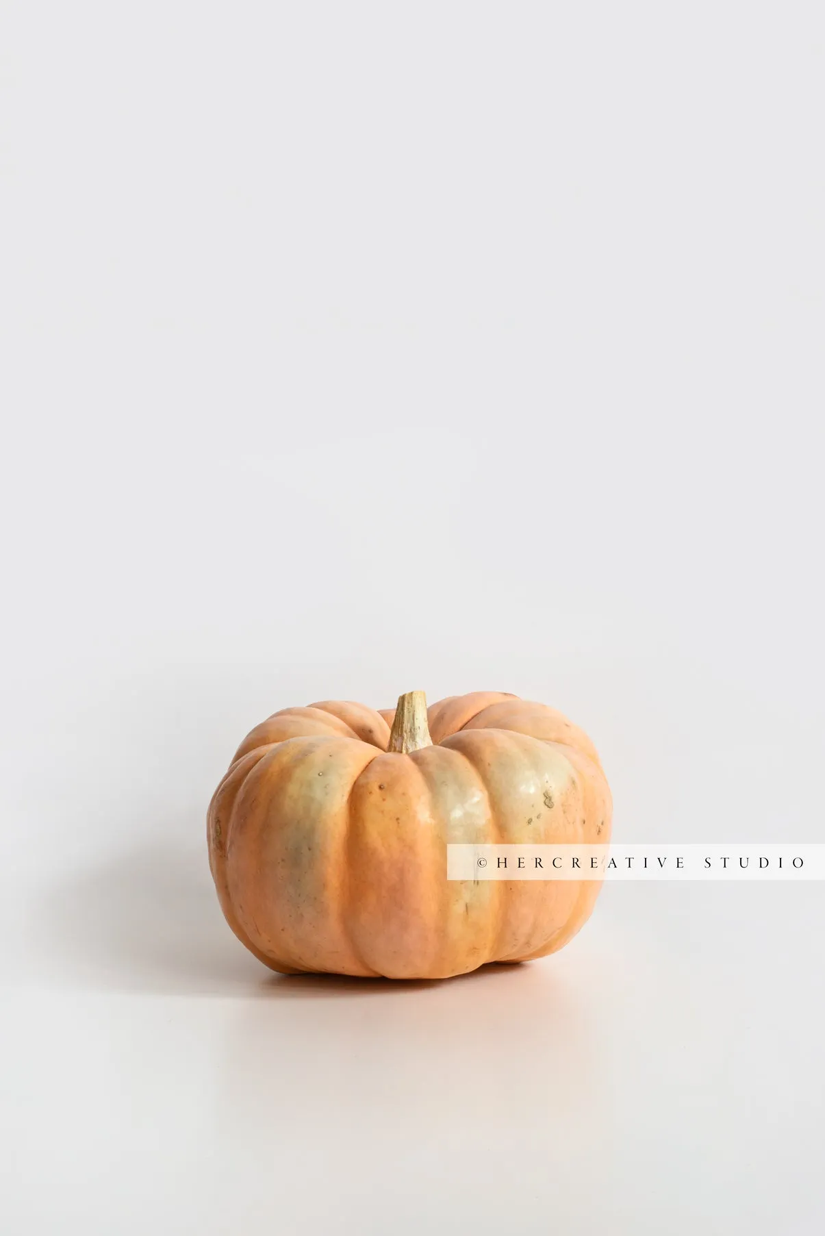 Orange Pumpkin on White Background. Digital Stock Image.