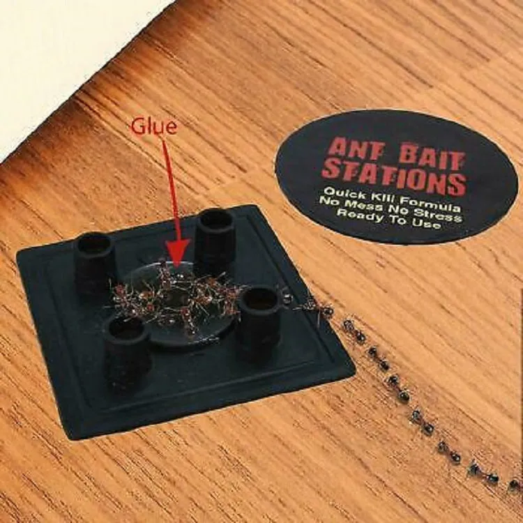 Pest Shield Ant Traps 3pk