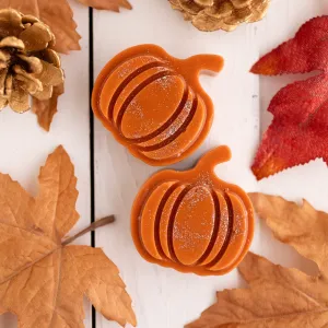 Pumpkin Bread Wax Melt