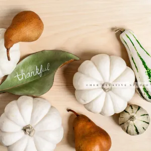 Pumpkins, Gourds & Thankful