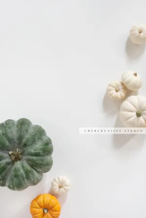 Pumpkins on White Background 8. Digital Stock Image.