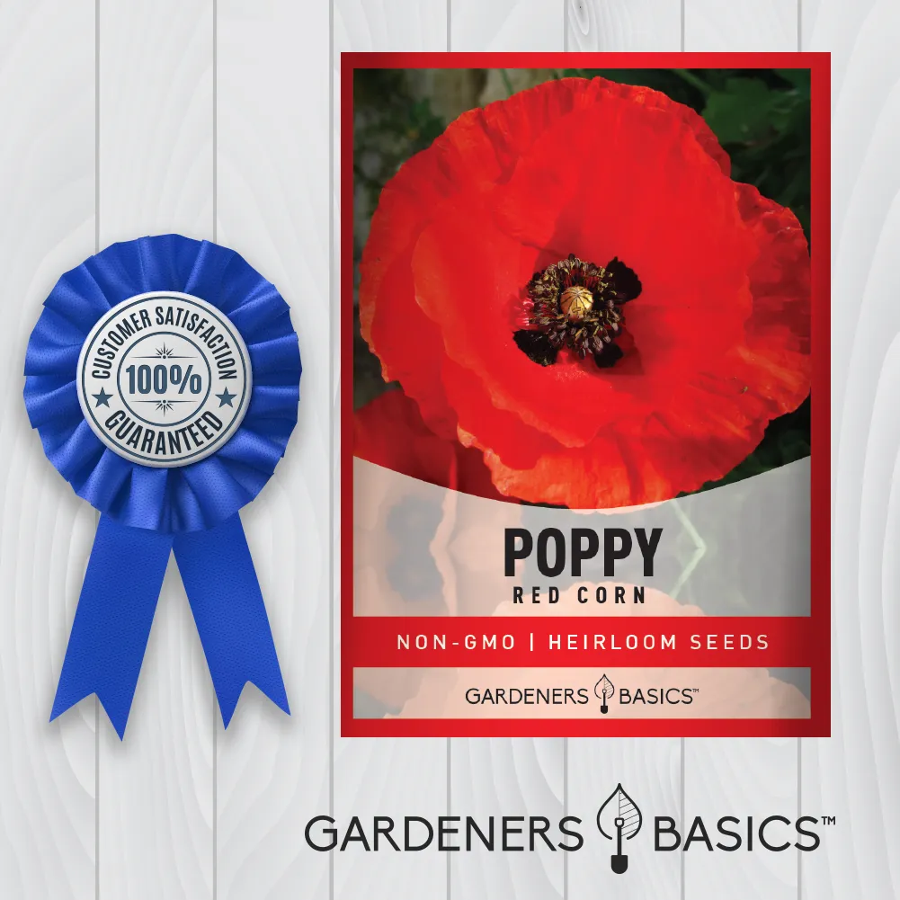 Red Corn Poppy Seeds