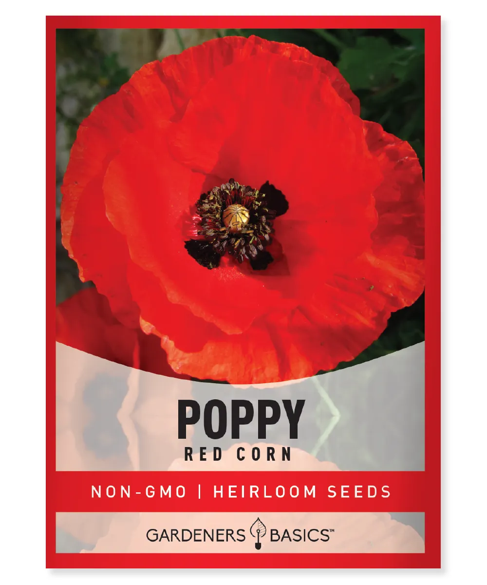 Red Corn Poppy Seeds