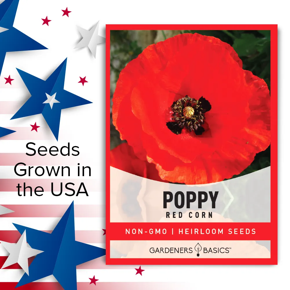 Red Corn Poppy Seeds
