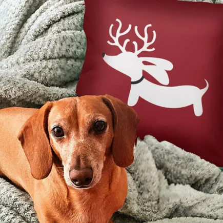 Reindeer Dachshund Holiday Accent Pillow