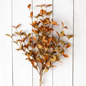 Rust And Tan Fall Leaves Bush