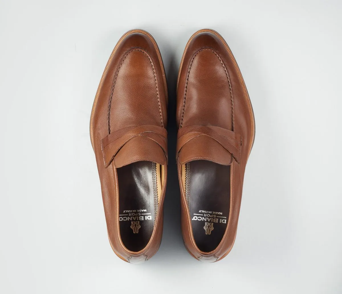 SC546 Gallizia Cacao