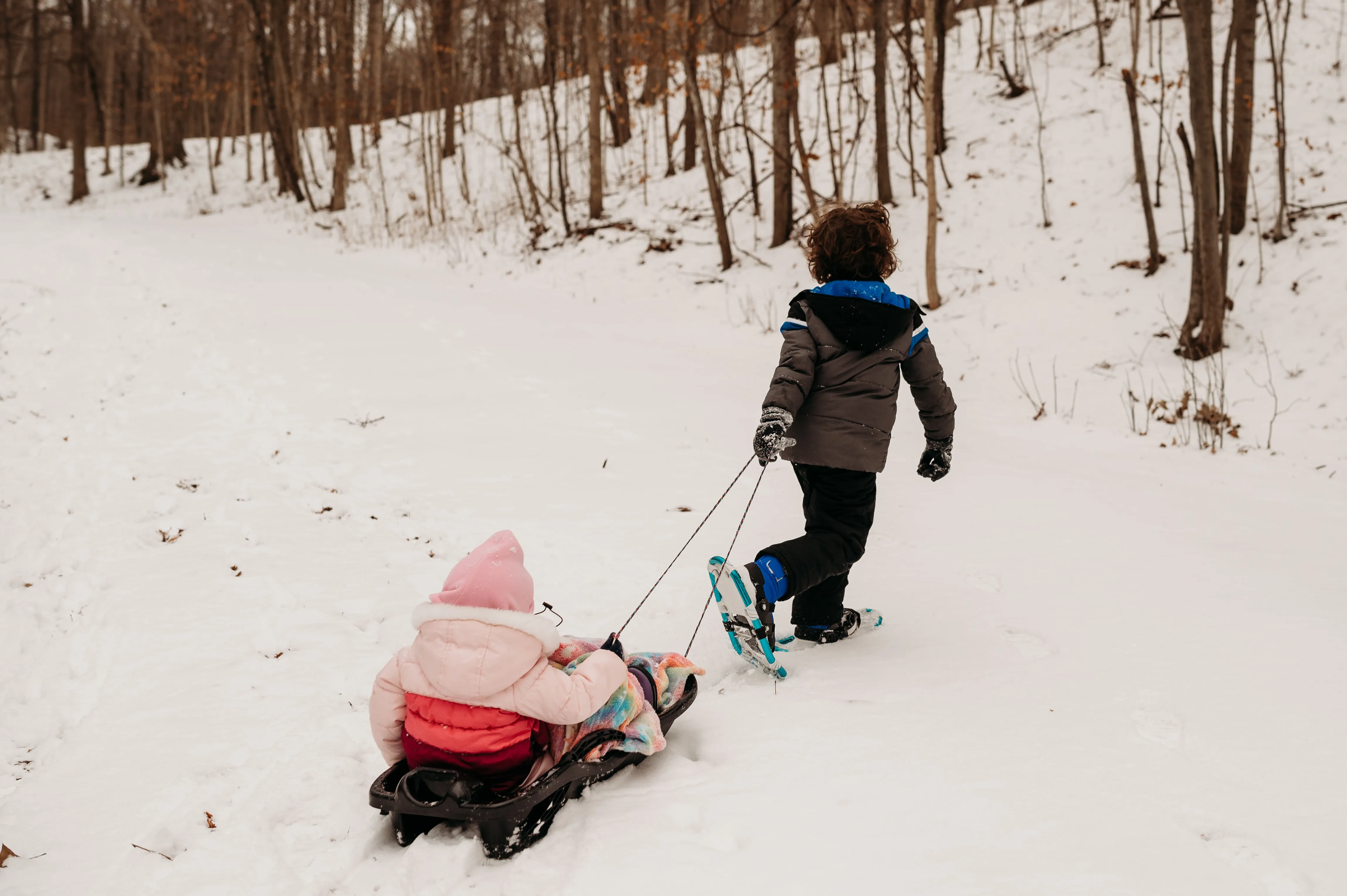 Seasonal Adventure Kits BUNDLE