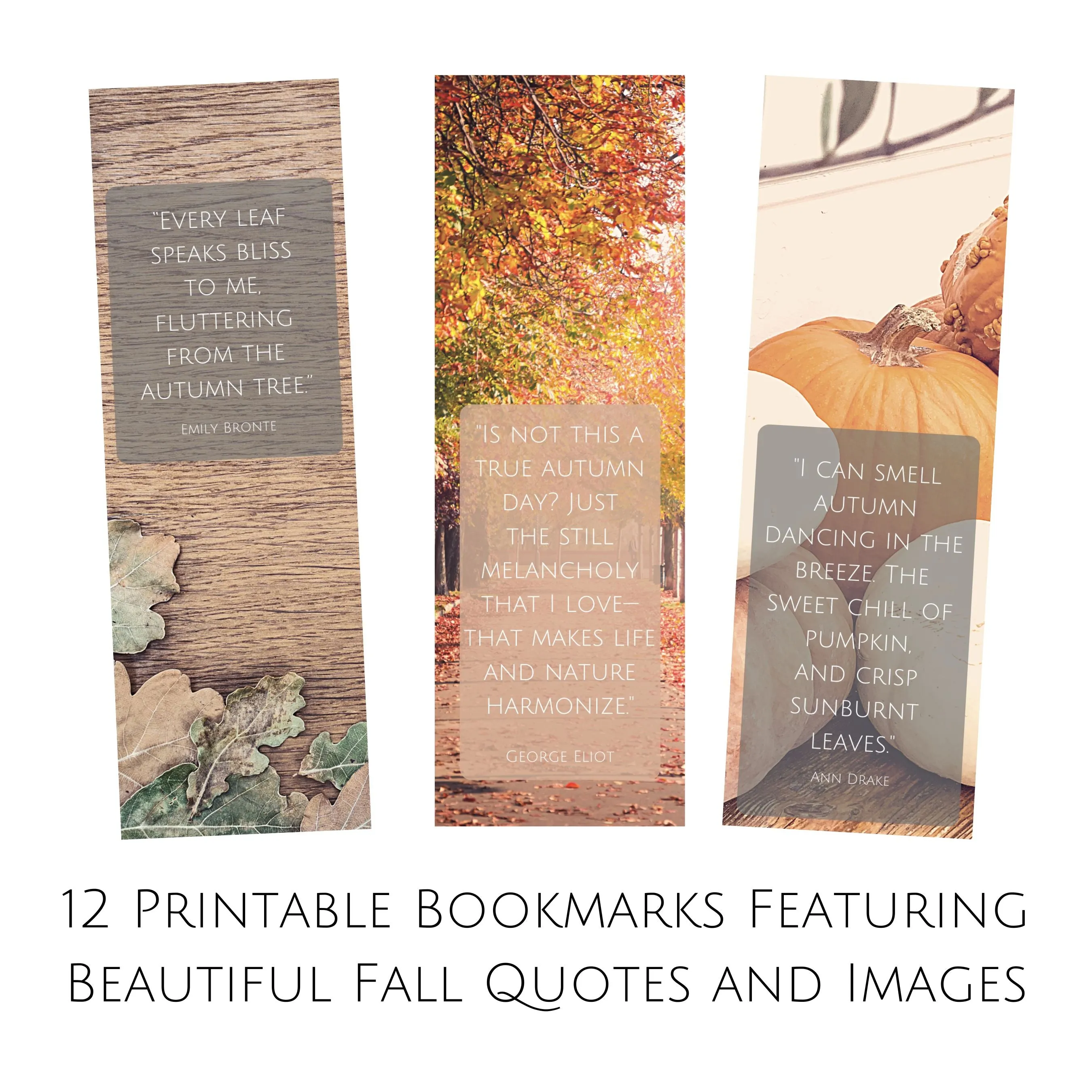 Set of 12 Printable Fall Literary Bookmarks