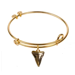 Shark Tooth, Bangle 18K Gold Plated