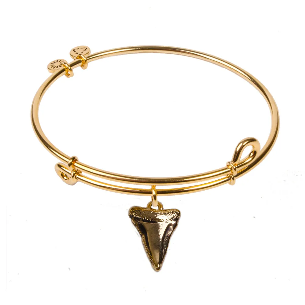 Shark Tooth, Bangle 18K Gold Plated
