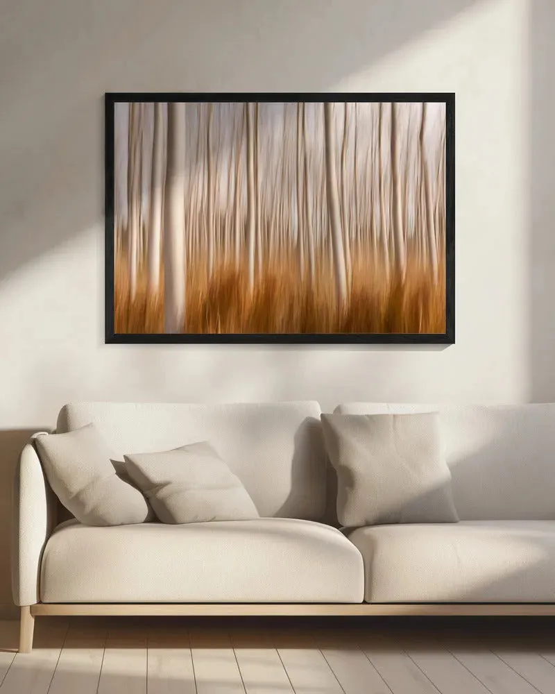 Spring Poplar Fields