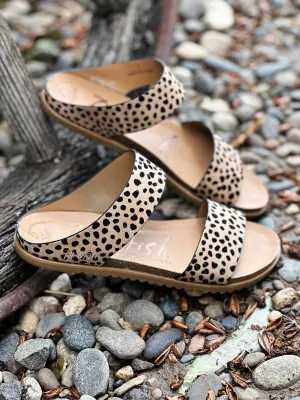 The Cheyenne Sandals in Leopard