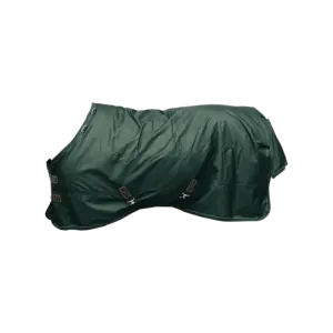 Turnout Rug All Weather Waterproof Pro 160g by Kentucky